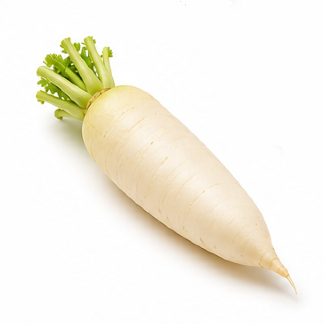Daikon