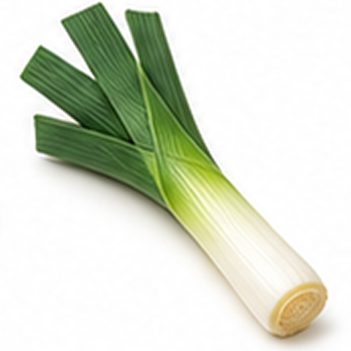 Leek