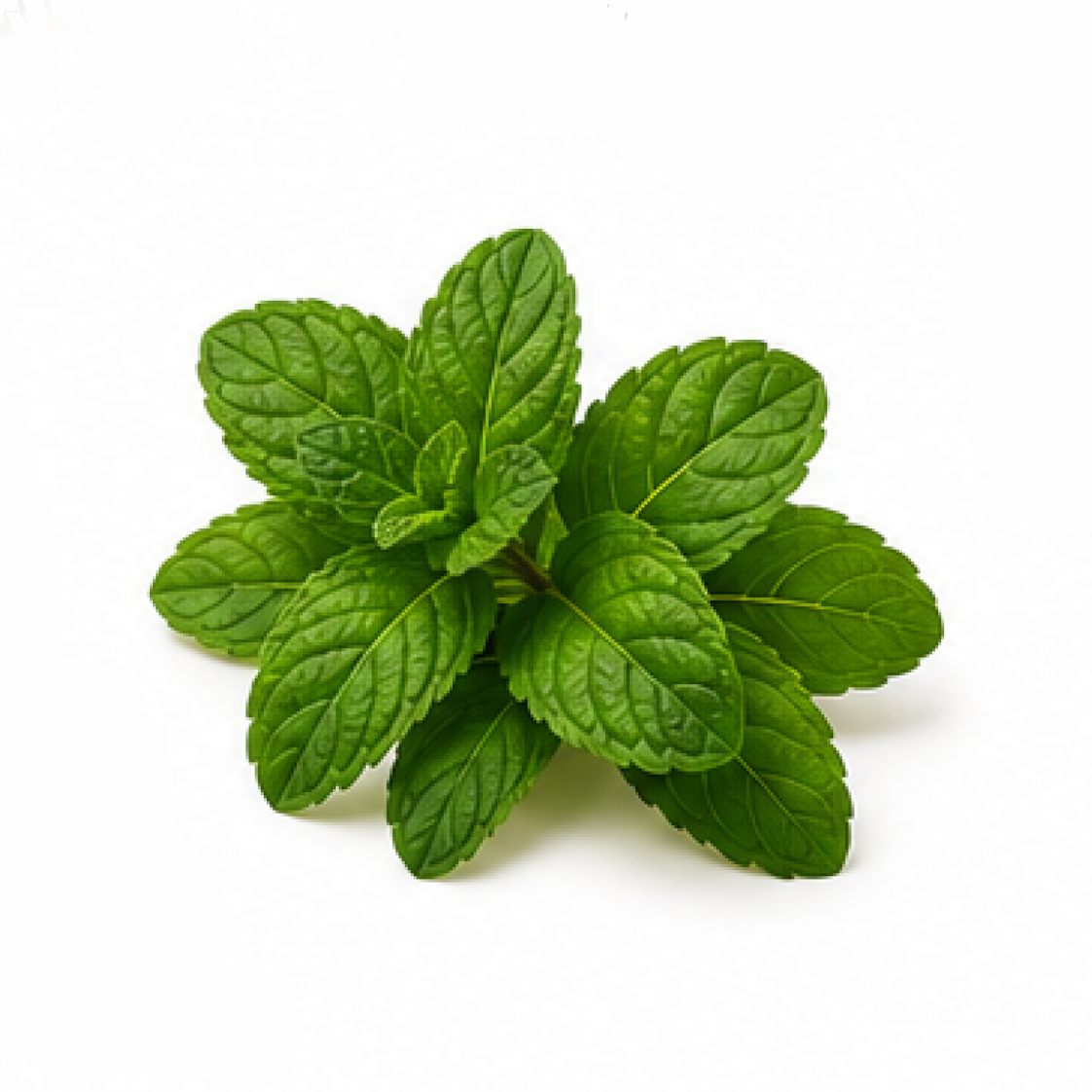 Mint
