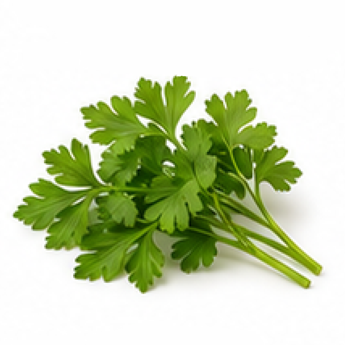 Parsley